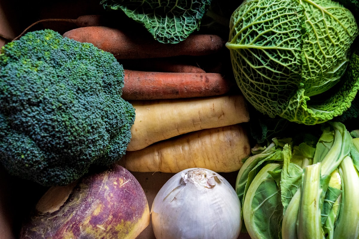 Impactul DietGuidanceHealth - Comunitate și Educație